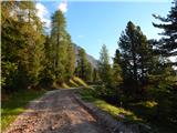 Pocol de ra Crosc - Rifugio Duca d'Aosta